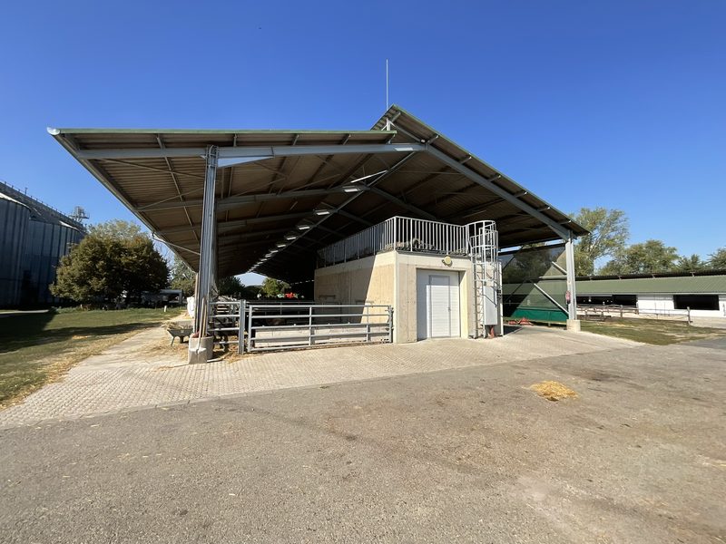 The open-sided structure with a ridge rooflight: even daylight and draught-free ventilation.